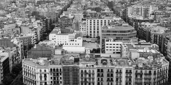 Delitos Contra la Propiedad / Urbanísticos Coria del Río · Parcelación en Suelo No Edificable